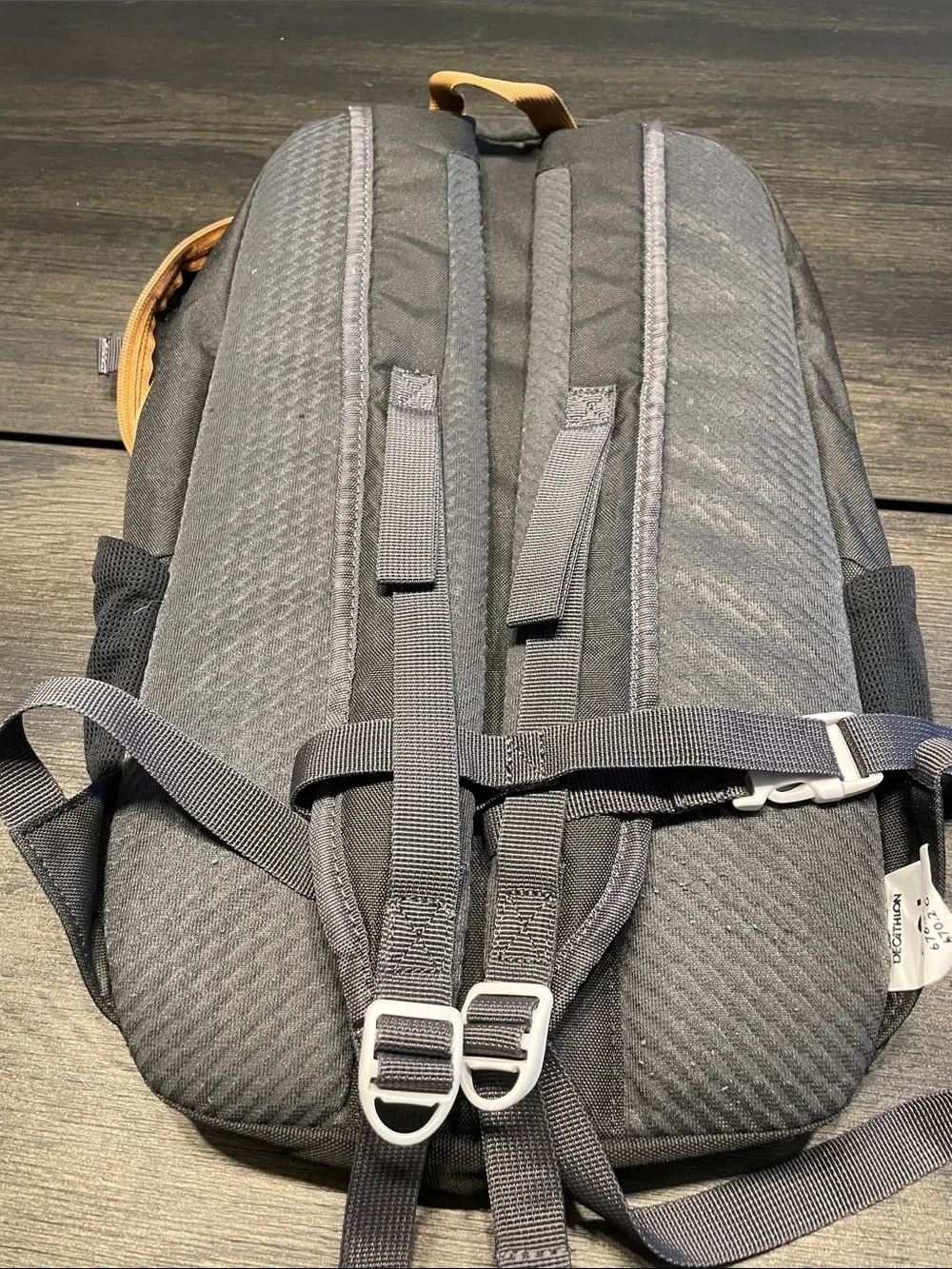 Quechua Black Backpack with Gray Straps